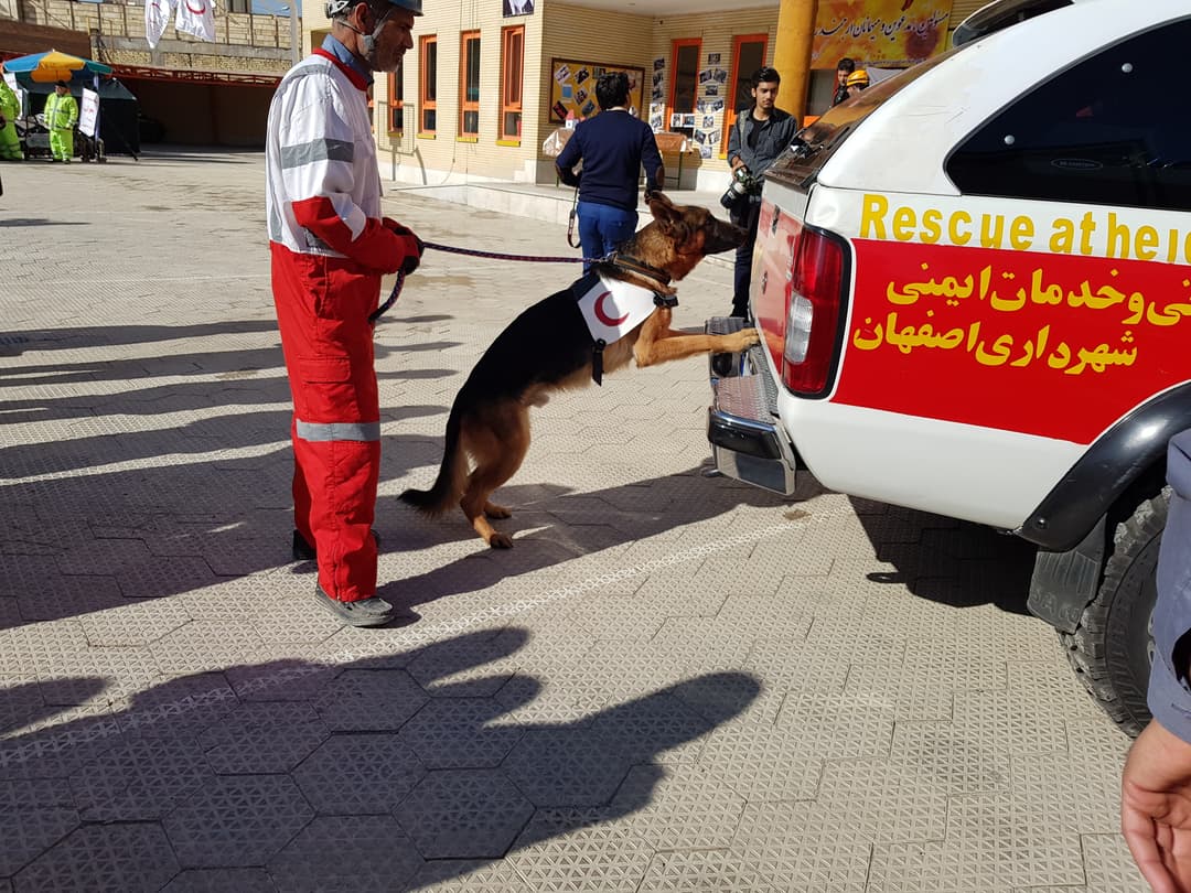 تصویر مقاله