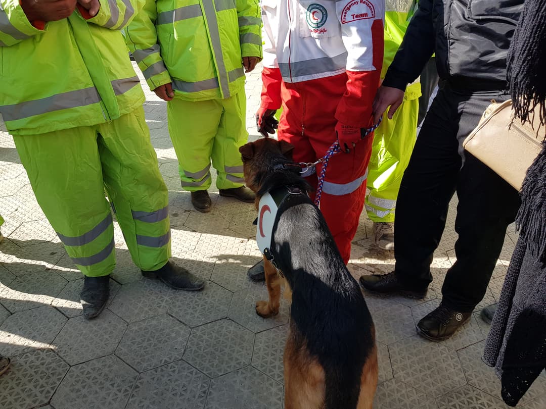 تصویر مقاله