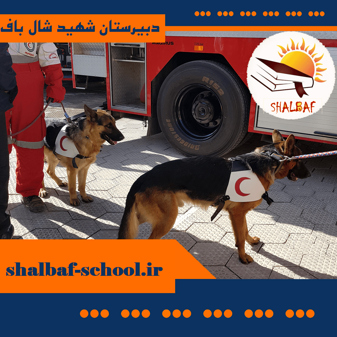 دبیرستان دخترانه شهید اصغر شال باف